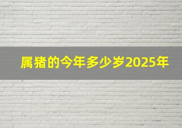 属猪的今年多少岁2025年