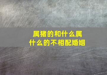 属猪的和什么属什么的不相配婚姻