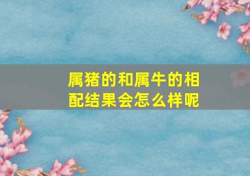 属猪的和属牛的相配结果会怎么样呢