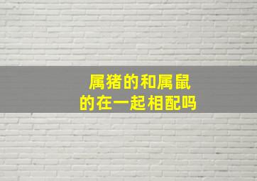 属猪的和属鼠的在一起相配吗