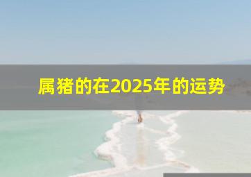 属猪的在2025年的运势