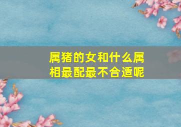 属猪的女和什么属相最配最不合适呢