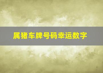 属猪车牌号码幸运数字