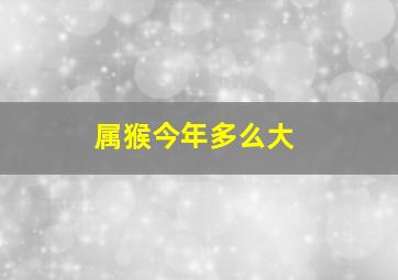 属猴今年多么大