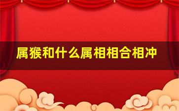 属猴和什么属相相合相冲