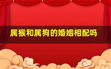 属猴和属狗的婚姻相配吗