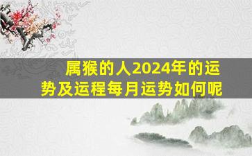 属猴的人2024年的运势及运程每月运势如何呢