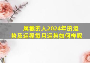 属猴的人2024年的运势及运程每月运势如何样呢