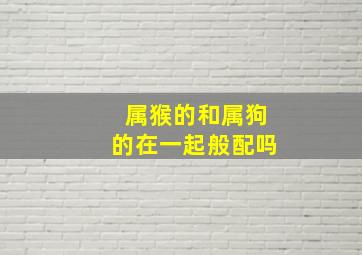 属猴的和属狗的在一起般配吗