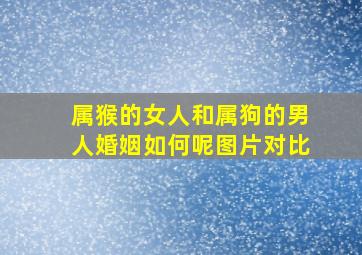 属猴的女人和属狗的男人婚姻如何呢图片对比