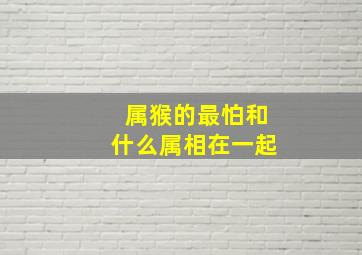 属猴的最怕和什么属相在一起