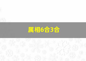 属相6合3合