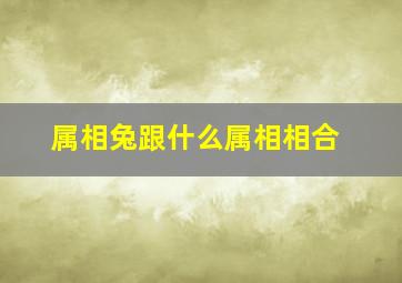 属相兔跟什么属相相合