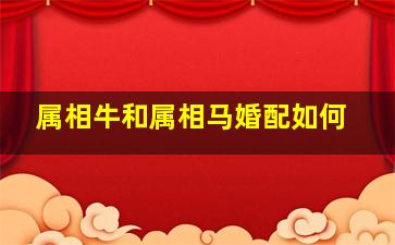 属相牛和属相马婚配如何