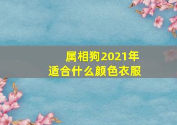 属相狗2021年适合什么颜色衣服