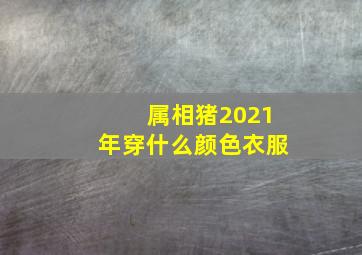 属相猪2021年穿什么颜色衣服