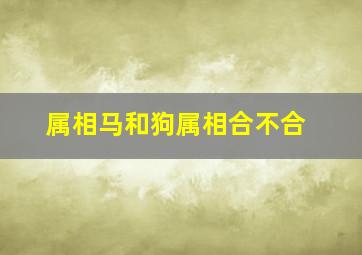 属相马和狗属相合不合