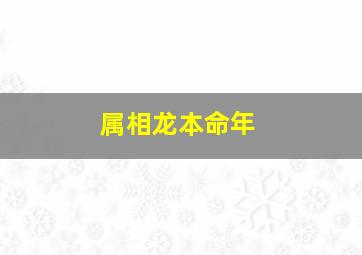 属相龙本命年