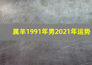 属羊1991年男2021年运势