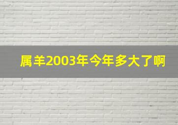 属羊2003年今年多大了啊