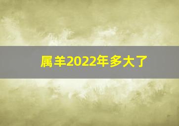 属羊2022年多大了