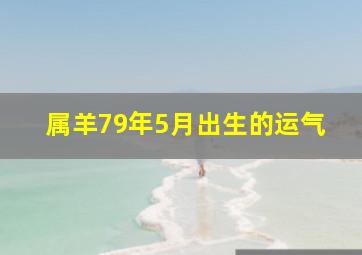 属羊79年5月出生的运气