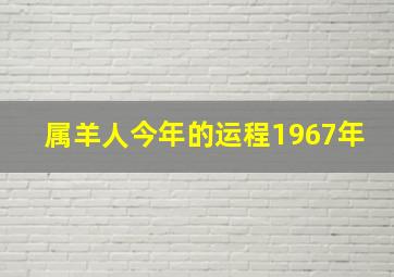 属羊人今年的运程1967年