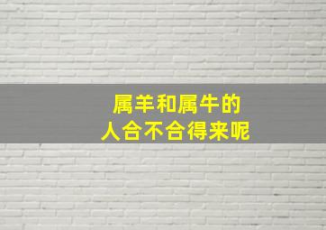 属羊和属牛的人合不合得来呢