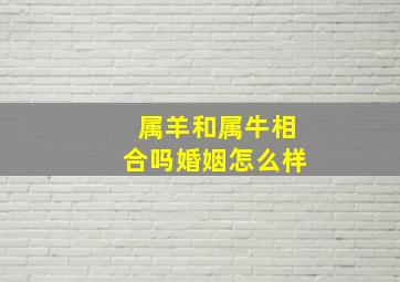 属羊和属牛相合吗婚姻怎么样