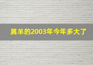 属羊的2003年今年多大了