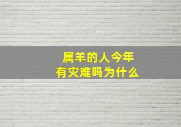 属羊的人今年有灾难吗为什么