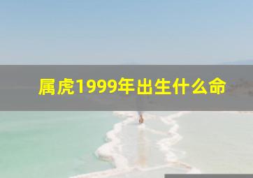 属虎1999年出生什么命