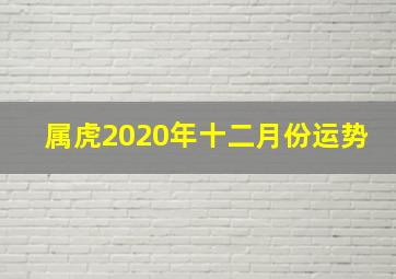 属虎2020年十二月份运势