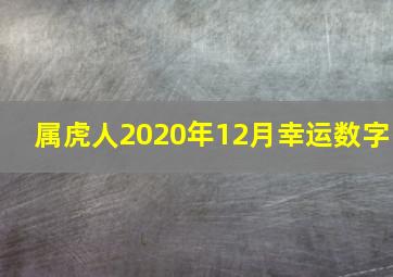 属虎人2020年12月幸运数字