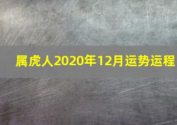 属虎人2020年12月运势运程