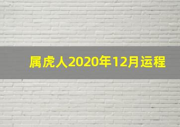 属虎人2020年12月运程