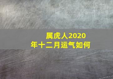 属虎人2020年十二月运气如何