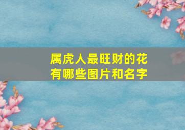 属虎人最旺财的花有哪些图片和名字