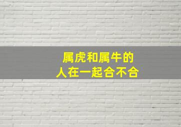 属虎和属牛的人在一起合不合