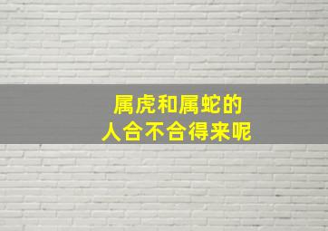 属虎和属蛇的人合不合得来呢