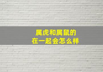 属虎和属鼠的在一起会怎么样