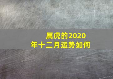 属虎的2020年十二月运势如何