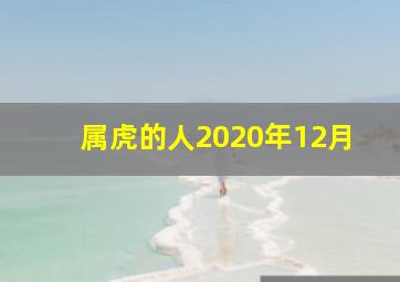 属虎的人2020年12月