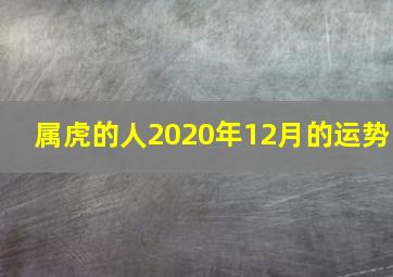 属虎的人2020年12月的运势