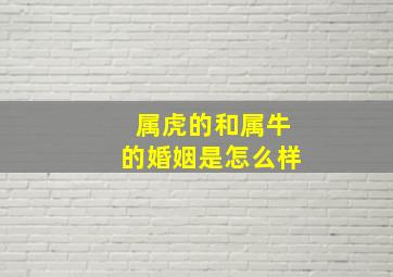 属虎的和属牛的婚姻是怎么样