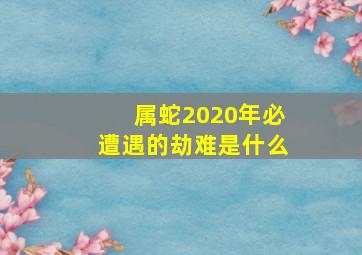 属蛇2020年必遭遇的劫难是什么