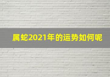 属蛇2021年的运势如何呢