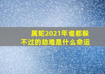 属蛇2021年谁都躲不过的劫难是什么命运