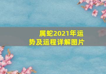 属蛇2021年运势及运程详解图片