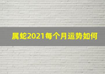 属蛇2021每个月运势如何